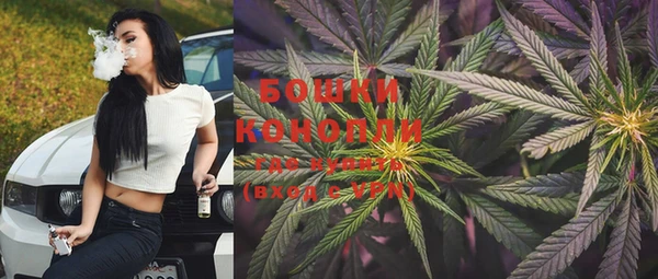 PSILOCYBIN Бронницы