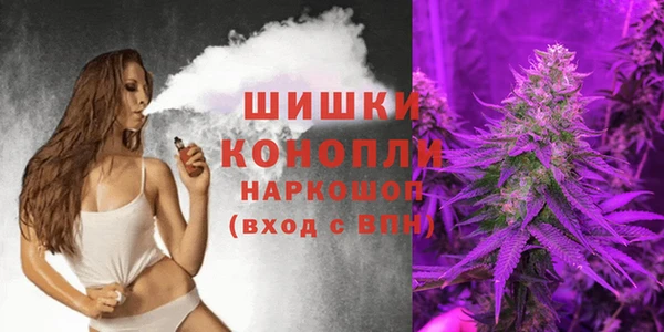 PSILOCYBIN Бронницы