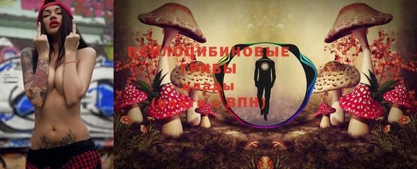 мескалин Бугульма