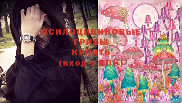 PSILOCYBIN Бронницы