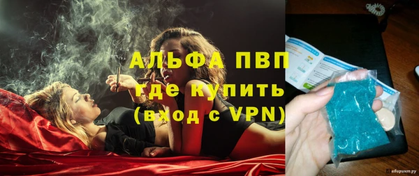 PSILOCYBIN Бронницы